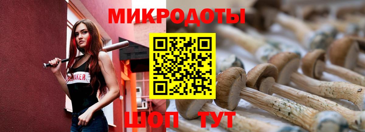 Псилоцибиновые грибы MAGIC MUSHROOMS Тосно