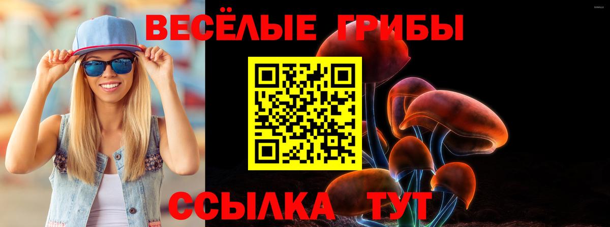 Псилоцибиновые грибы MAGIC MUSHROOMS  Галлюциногенные грибы MAGIC MUSHROOMS  Тосно  Вход с VPN 